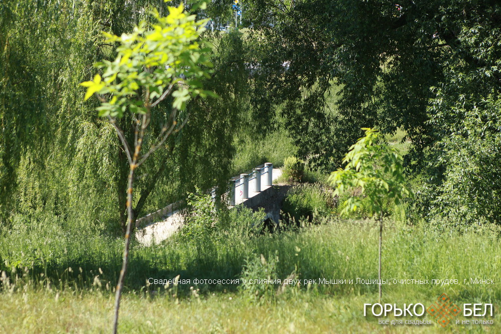 Свадебная фотосессия у слияния двух рек Мышки и Лошицы, очистных прудов Свадебная фотосессия у слияния двух рек Мышки и Лошицы, очистных прудов