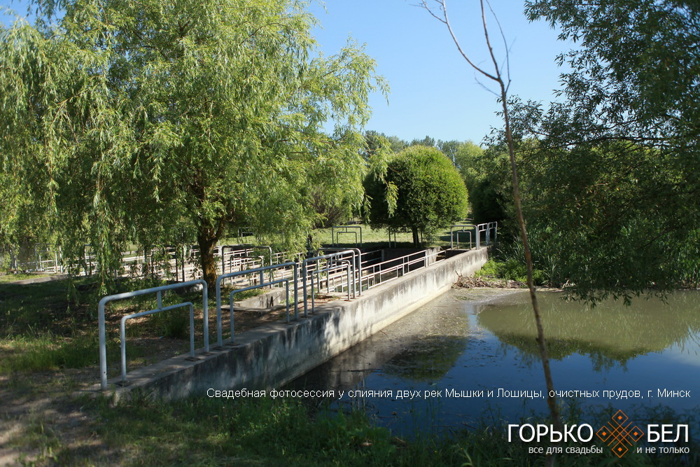 Свадебная фотосессия у слияния двух рек Мышки и Лошицы, очистных прудов Свадебная фотосессия у слияния двух рек Мышки и Лошицы, очистных прудов