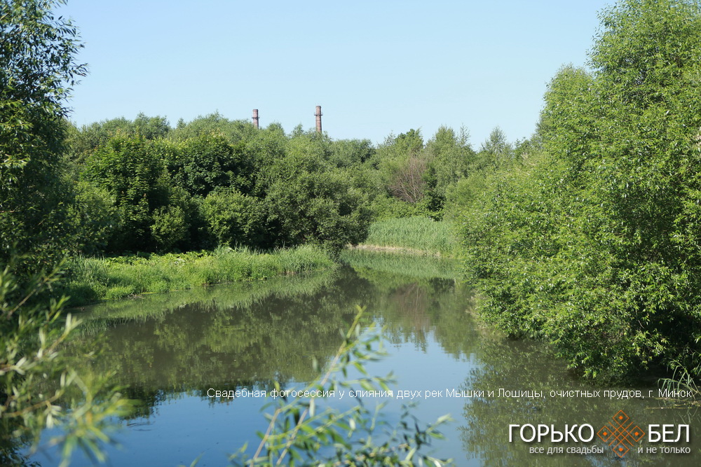 Свадебная фотосессия у слияния двух рек Мышки и Лошицы, очистных прудов Свадебная фотосессия у слияния двух рек Мышки и Лошицы, очистных прудов