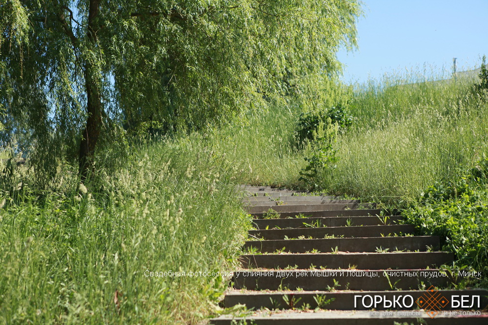 Свадебная фотосессия у слияния двух рек Мышки и Лошицы, очистных прудов Свадебная фотосессия у слияния двух рек Мышки и Лошицы, очистных прудов