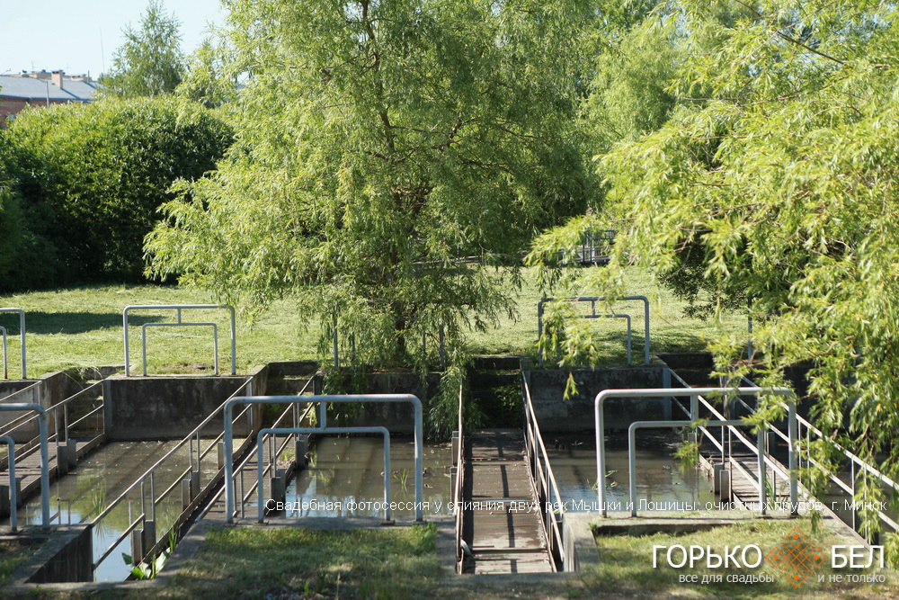 Свадебная фотосессия у слияния двух рек Мышки и Лошицы, очистных прудов Свадебная фотосессия у слияния двух рек Мышки и Лошицы, очистных прудов