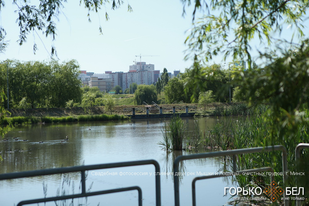 Свадебная фотосессия у слияния двух рек Мышки и Лошицы, очистных прудов Свадебная фотосессия у слияния двух рек Мышки и Лошицы, очистных прудов
