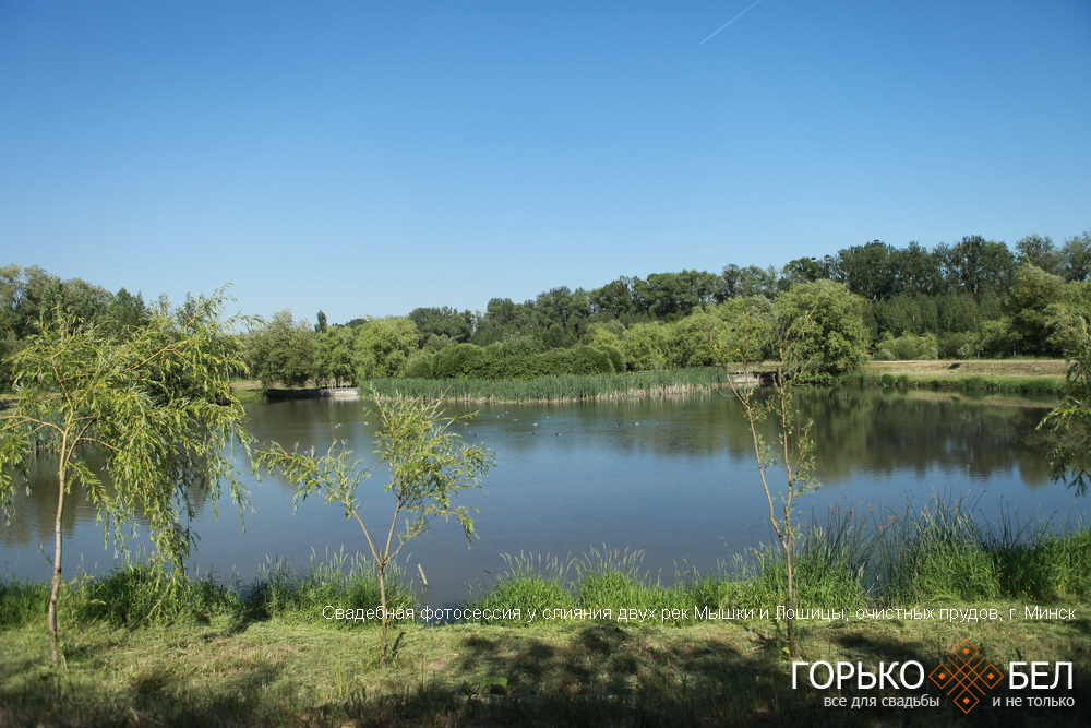 Свадебная фотосессия у слияния двух рек Мышки и Лошицы, очистных прудов Свадебная фотосессия у слияния двух рек Мышки и Лошицы, очистных прудов