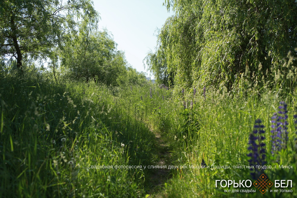 Свадебная фотосессия у слияния двух рек Мышки и Лошицы, очистных прудов Свадебная фотосессия у слияния двух рек Мышки и Лошицы, очистных прудов